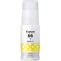 GI-66-yellow GI-66-yellow